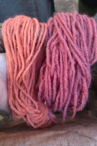 Motki zabarwione marzanną